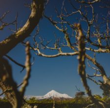 taranaki-valdes-photography