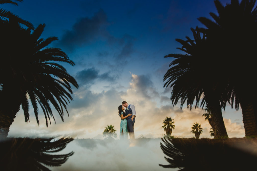 Bride and Groom between palms in Paihia